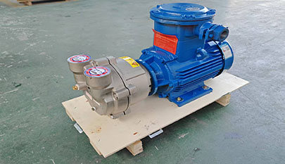 2BV Series Vacuum Pump for Sale